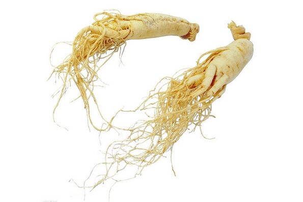 Ginseng root – a folk remedy for increasing male potency